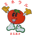 まるあさトマト